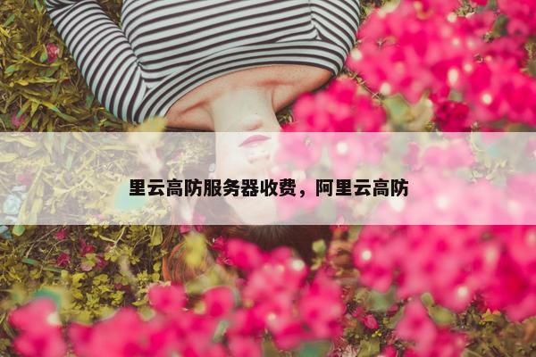 里云高防服务器收费，阿里云高防