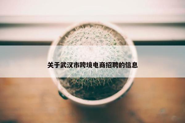 关于武汉市跨境电商招聘的信息