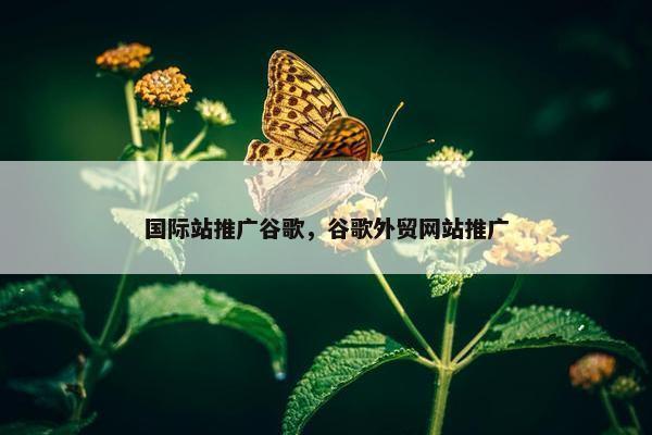 国际站推广谷歌，谷歌外贸网站推广