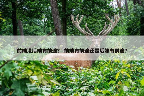 前端没后端有前途？ 前端有前途还是后端有前途？