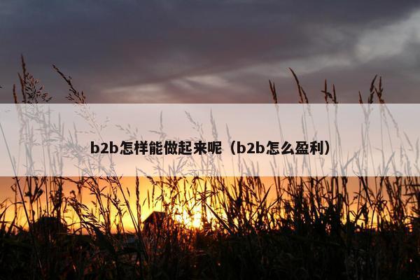 b2b怎样能做起来呢（b2b怎么盈利）