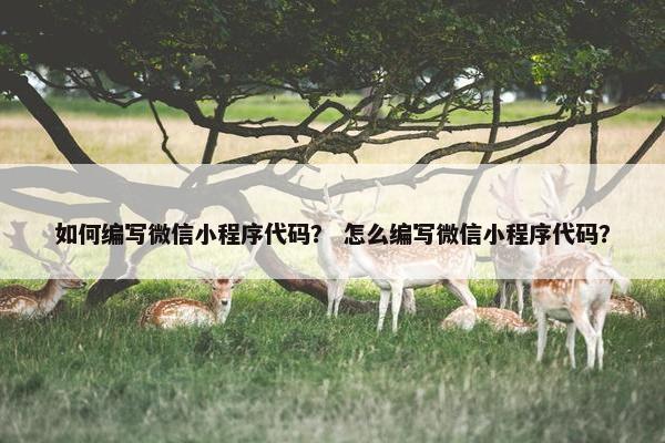如何编写微信小程序代码？ 怎么编写微信小程序代码？