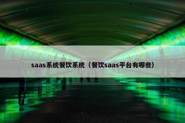 saas系统餐饮系统（餐饮saas平台有哪些）