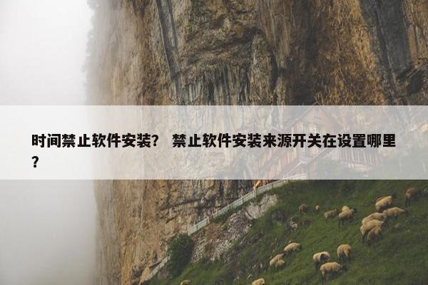 时间禁止软件安装？ 禁止软件安装来源开关在设置哪里？