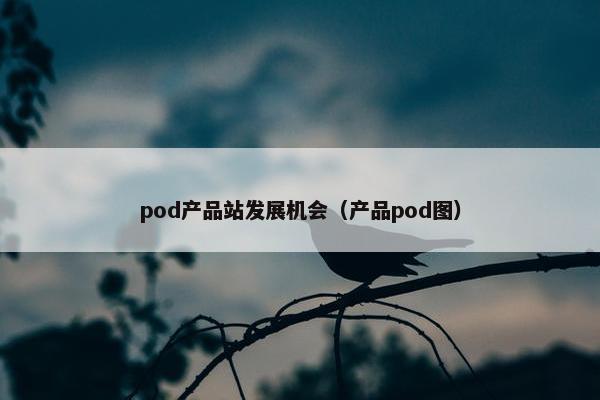 pod产品站发展机会（产品pod图）