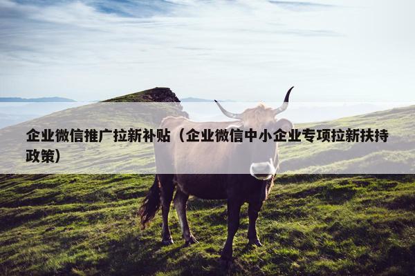 企业微信推广拉新补贴（企业微信中小企业专项拉新扶持政策）