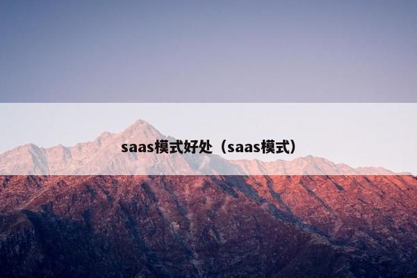 saas模式好处（saas模式）