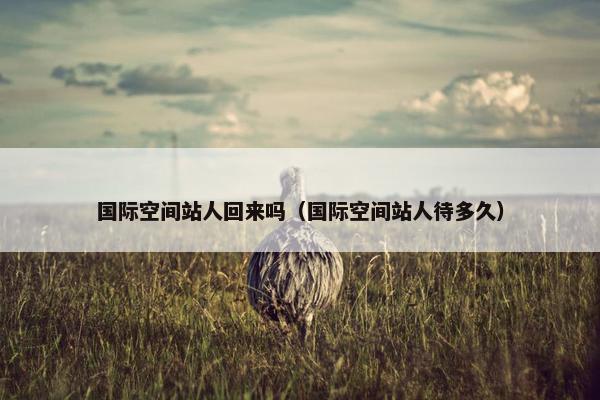 国际空间站人回来吗（国际空间站人待多久）