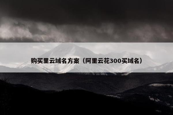 购买里云域名方案（阿里云花300买域名）