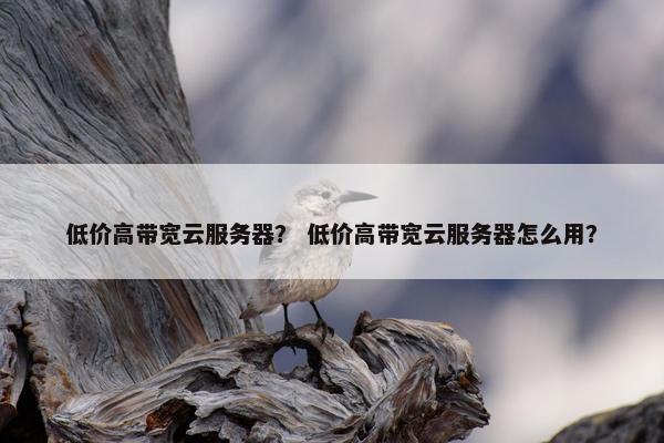 低价高带宽云服务器？ 低价高带宽云服务器怎么用？