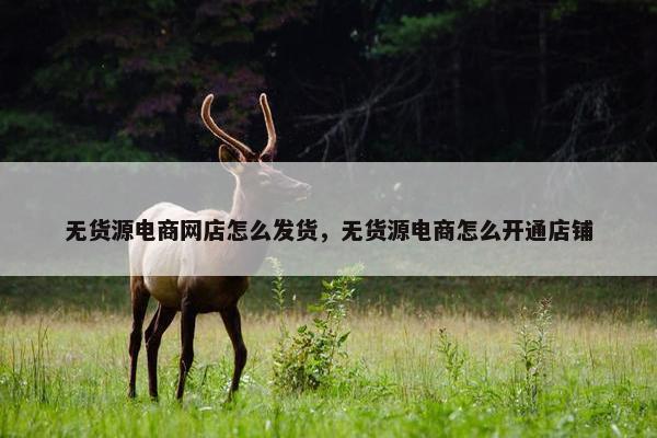 无货源电商网店怎么发货，无货源电商怎么开通店铺