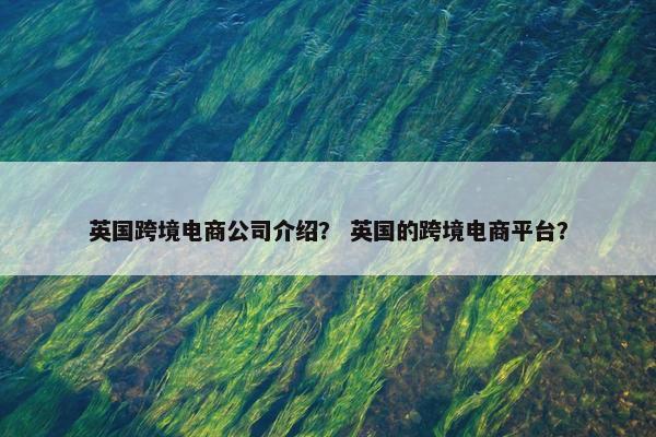 英国跨境电商公司介绍？ 英国的跨境电商平台？