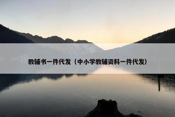 教辅书一件代发（中小学教辅资料一件代发）