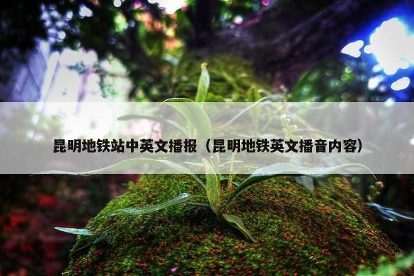 昆明地铁站中英文播报（昆明地铁英文播音内容）