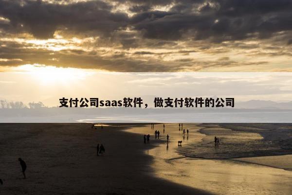 支付公司saas软件，做支付软件的公司