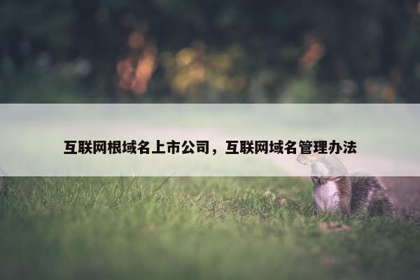 互联网根域名上市公司，互联网域名管理办法