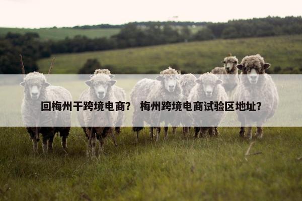 回梅州干跨境电商？ 梅州跨境电商试验区地址？