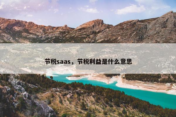 节税saas，节税利益是什么意思