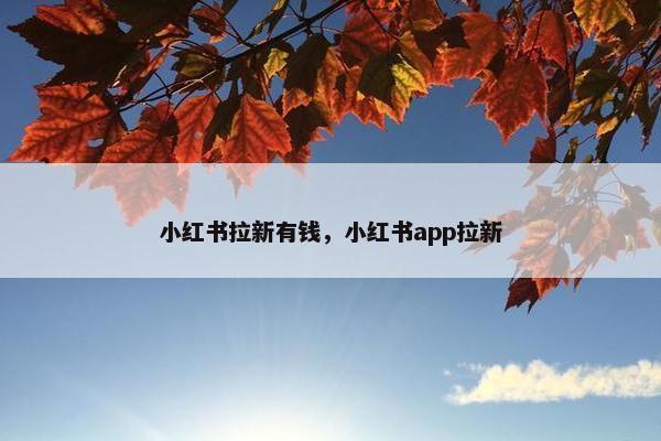 小红书拉新有钱，小红书app拉新