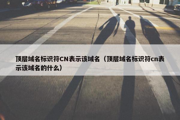 顶层域名标识符CN表示该域名（顶层域名标识符cn表示该域名的什么）