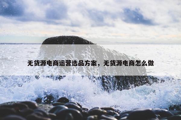 无货源电商运营选品方案，无货源电商怎么做