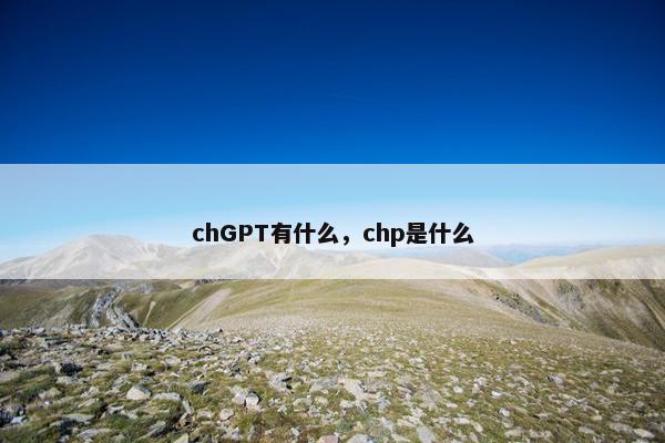 chGPT有什么，chp是什么