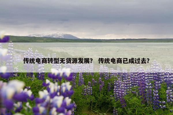 传统电商转型无货源发展？ 传统电商已成过去？