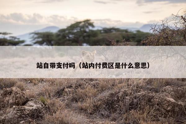 站自带支付吗（站内付费区是什么意思）
