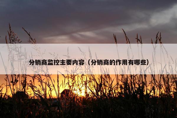 分销商监控主要内容（分销商的作用有哪些）