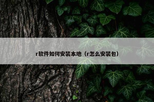 r软件如何安装本地（r怎么安装包）