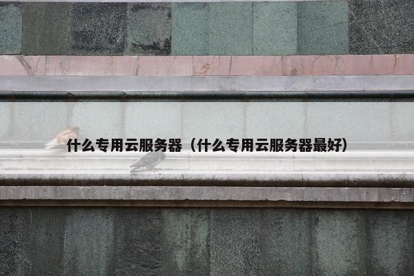 什么专用云服务器（什么专用云服务器最好）