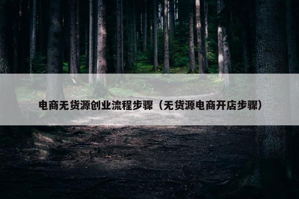 电商无货源创业流程步骤（无货源电商开店步骤）