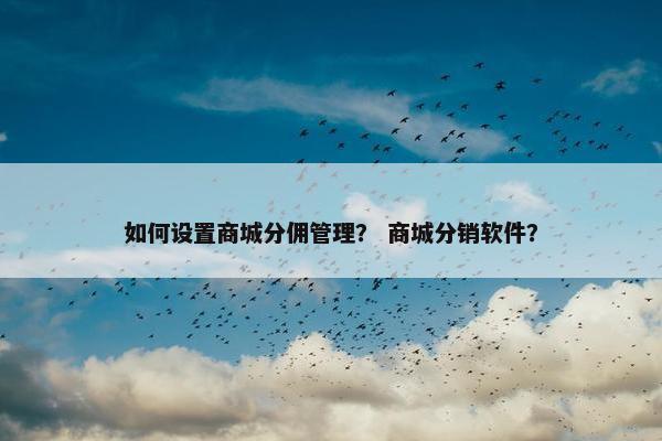 如何设置商城分佣管理？ 商城分销软件？