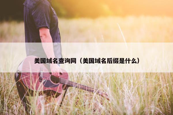 美国域名查询网（美国域名后缀是什么）