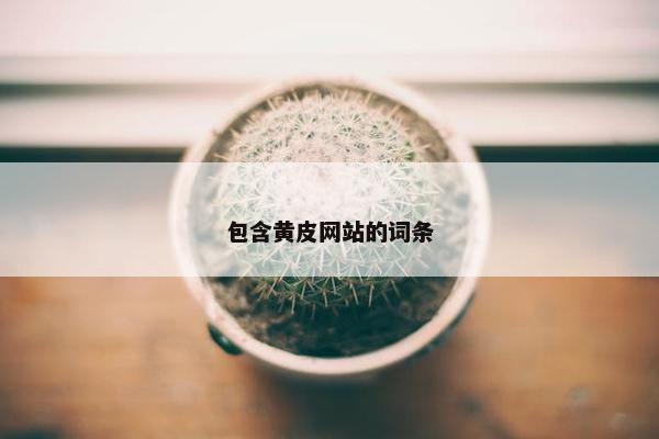 包含黄皮网站的词条