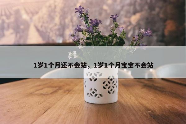 1岁1个月还不会站，1岁1个月宝宝不会站