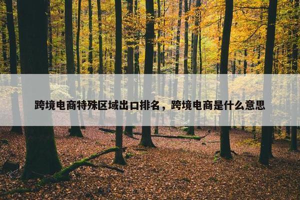 跨境电商特殊区域出口排名，跨境电商是什么意思