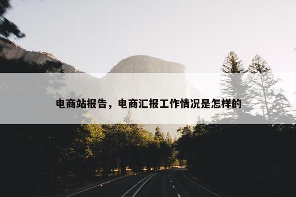 电商站报告，电商汇报工作情况是怎样的