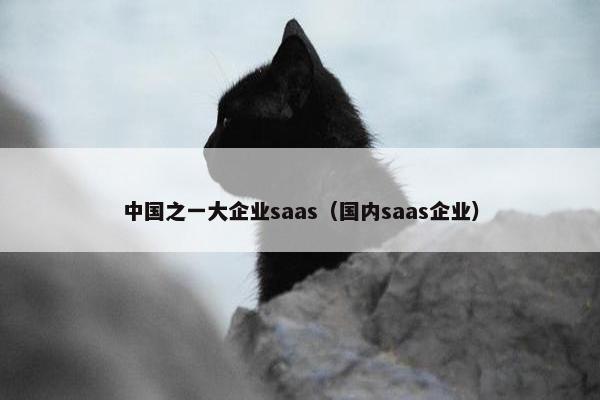 中国之一大企业saas（国内saas企业）