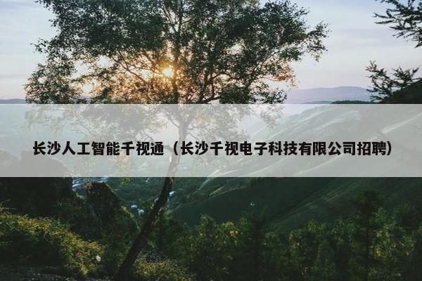 长沙人工智能千视通（长沙千视电子科技有限公司招聘）