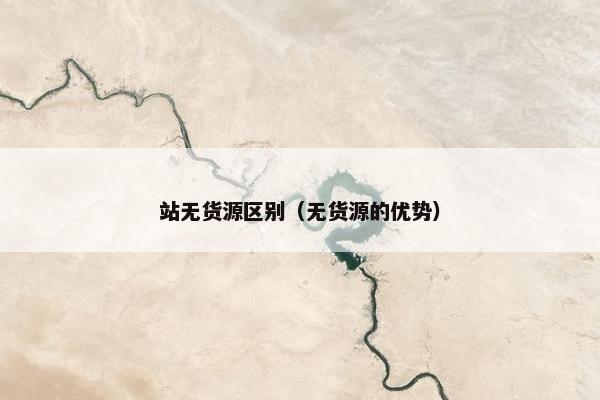 站无货源区别（无货源的优势）