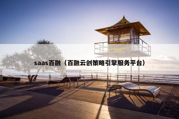 saas百融（百融云创策略引擎服务平台）