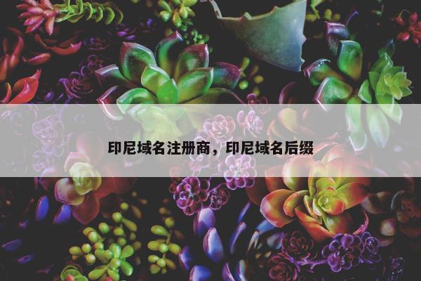 印尼域名注册商，印尼域名后缀