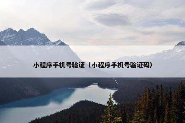 小程序手机号验证（小程序手机号验证码）
