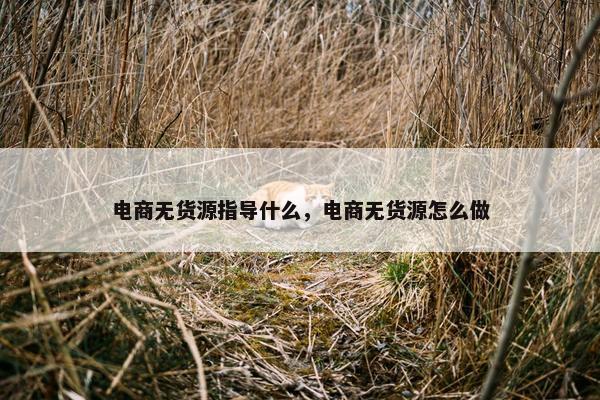 电商无货源指导什么，电商无货源怎么做