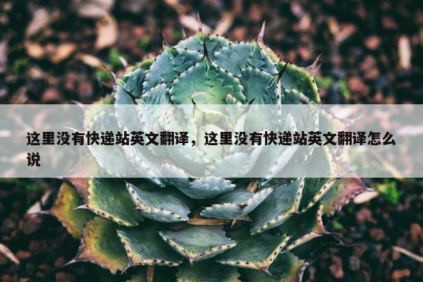 这里没有快递站英文翻译，这里没有快递站英文翻译怎么说