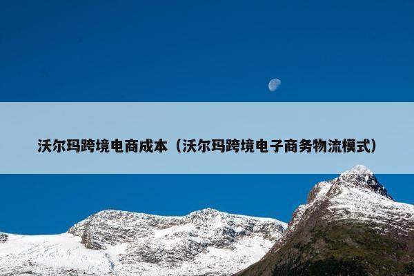 沃尔玛跨境电商成本（沃尔玛跨境电子商务物流模式）