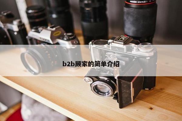 b2b顾家的简单介绍