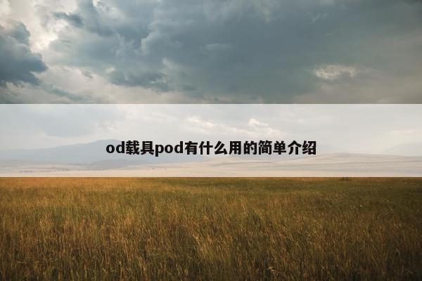od载具pod有什么用的简单介绍