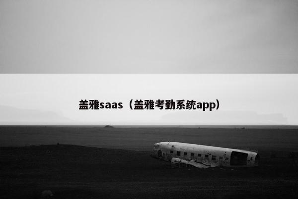 盖雅saas（盖雅考勤系统app）